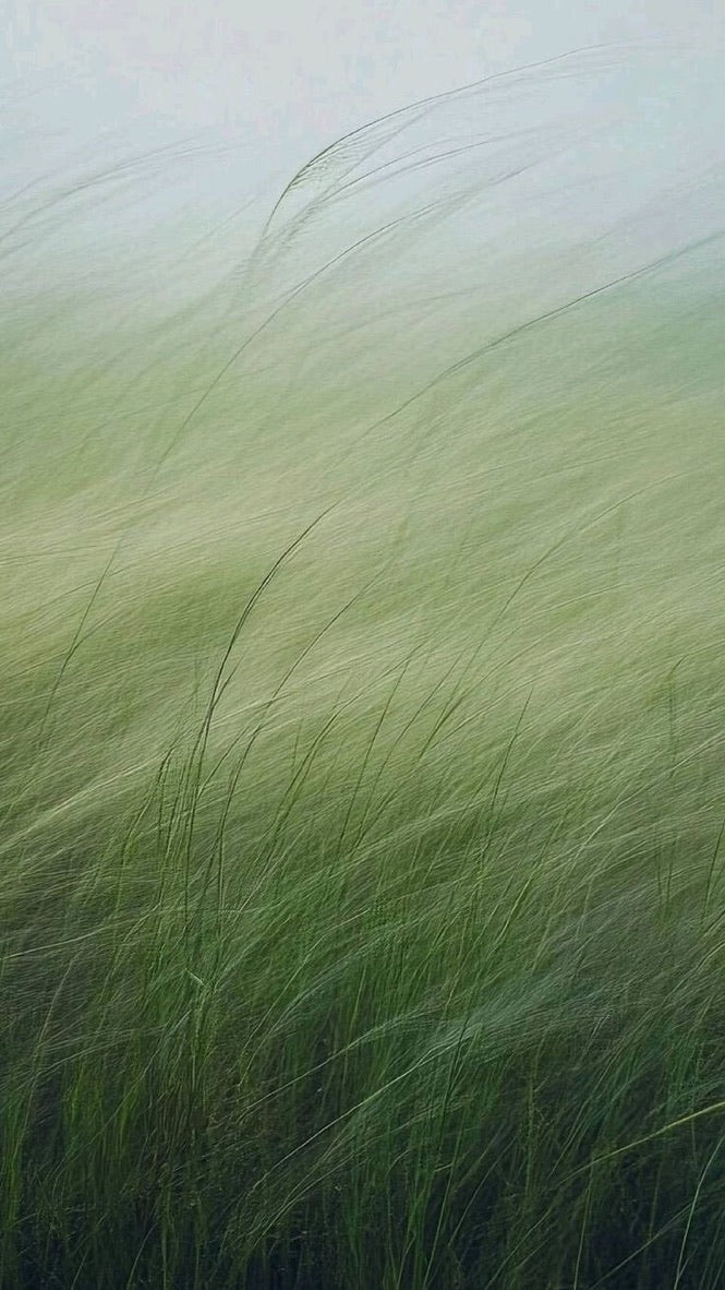 The Case for Fewer Products (and Better Results)