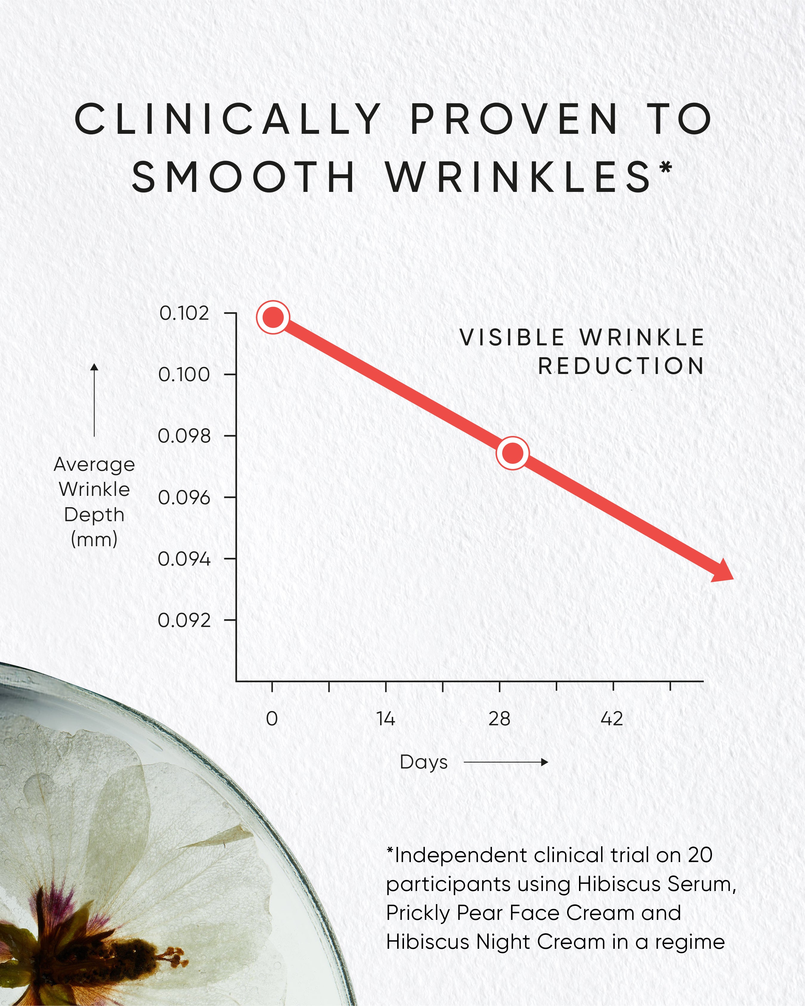 Hibiscus Night Cream