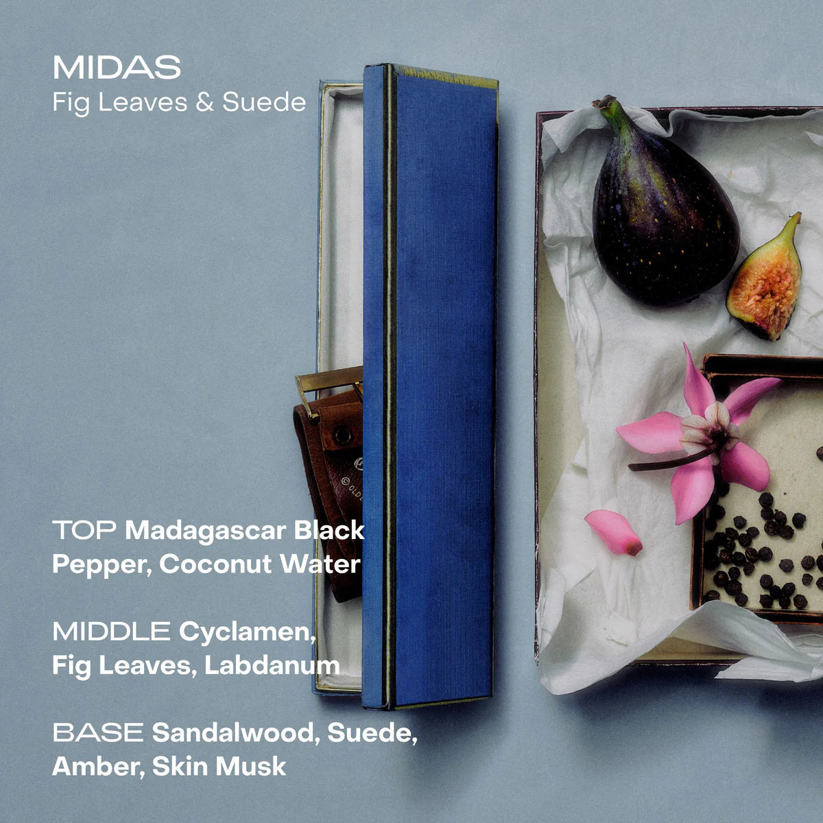 MIDAS: The Body Mist