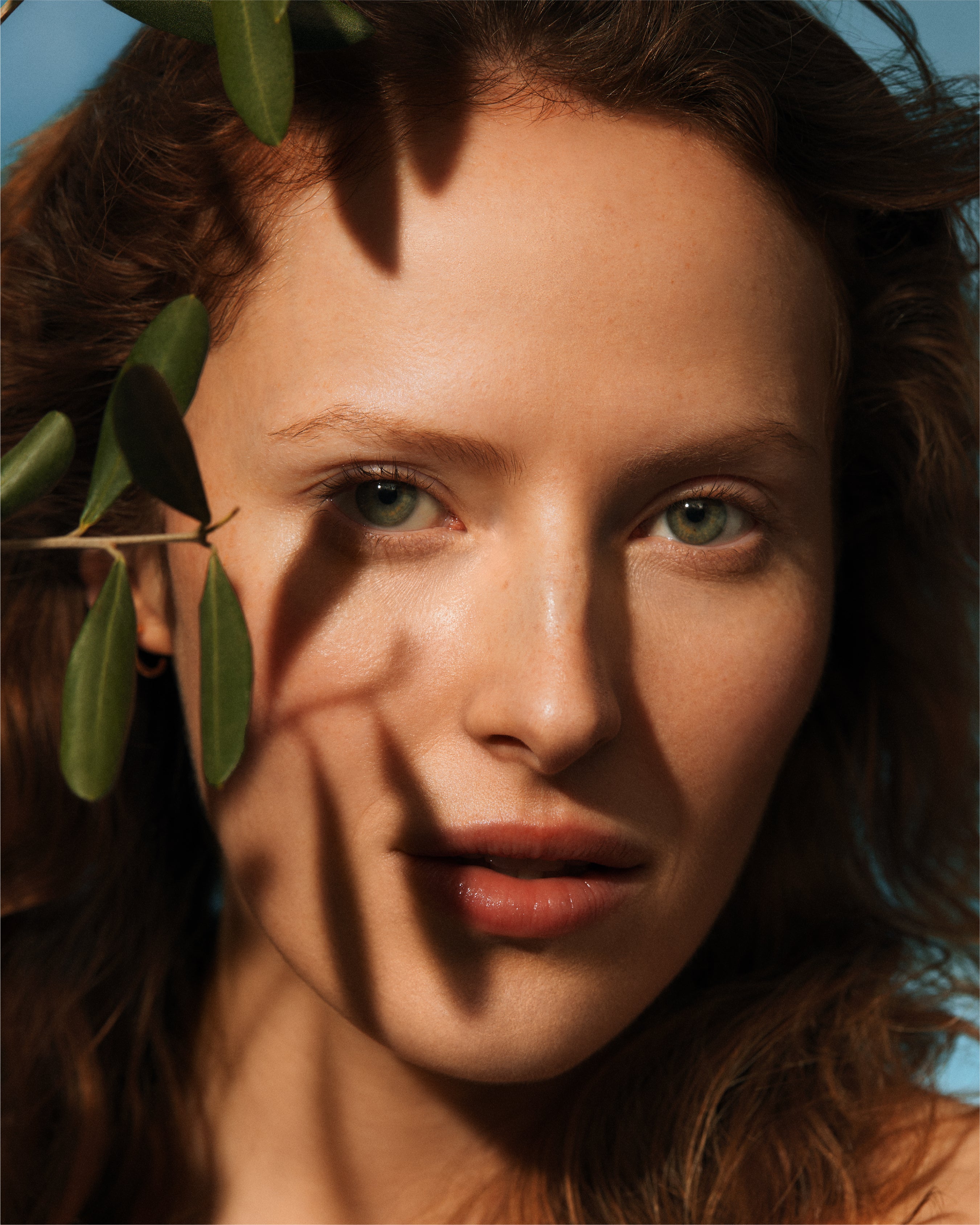 Olive Hydrating Eye Cream