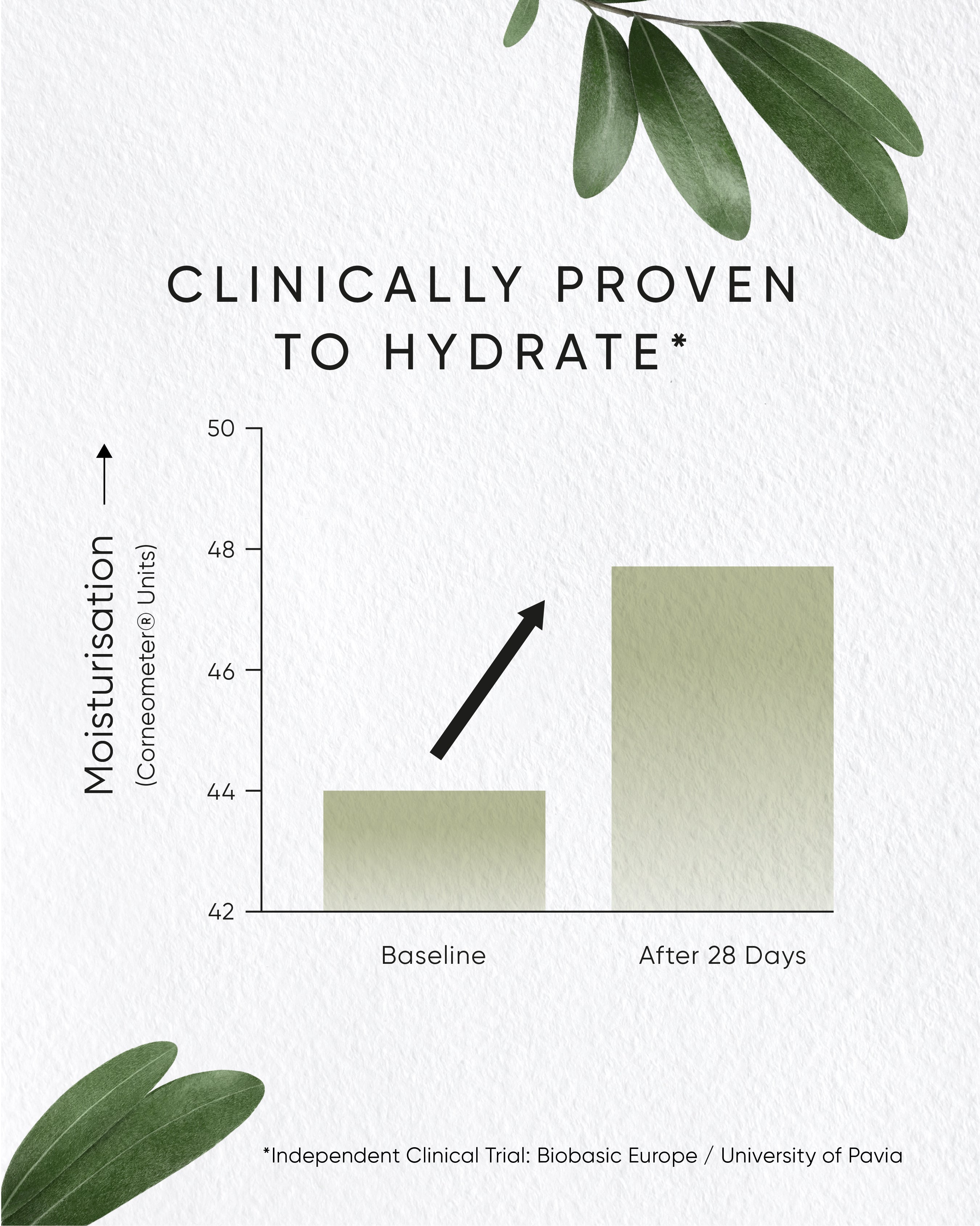 Olive Hydrating Eye Cream